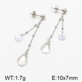 Stainless Steel Earrings  5E4000829vbll-314