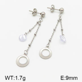 Stainless Steel Earrings  5E4000830vbll-314