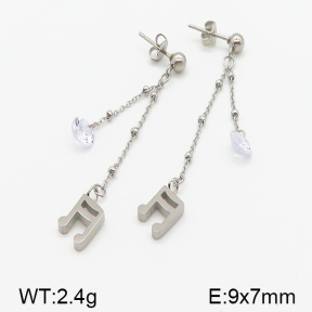 Stainless Steel Earrings  5E4000831vbll-314
