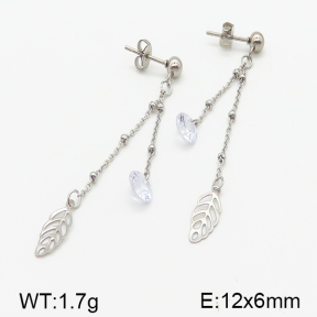 Stainless Steel Earrings  5E4000833vbll-314