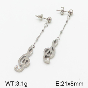 Stainless Steel Earrings  5E4000834ablb-314