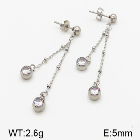 Stainless Steel Earrings  5E4000836vbmb-314