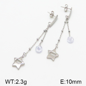 Stainless Steel Earrings  5E4000838vbll-314