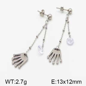 Stainless Steel Earrings  5E4000843vbll-314