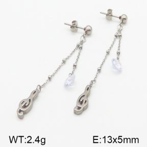 Stainless Steel Earrings  5E4000844vbll-314