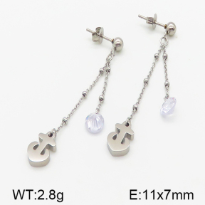 Stainless Steel Earrings  5E4000845vbll-314