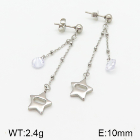 Stainless Steel Earrings  5E4000846vbll-314