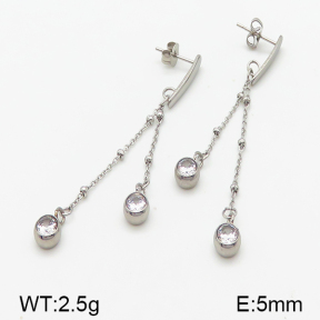Stainless Steel Earrings  5E4000847vbmb-314