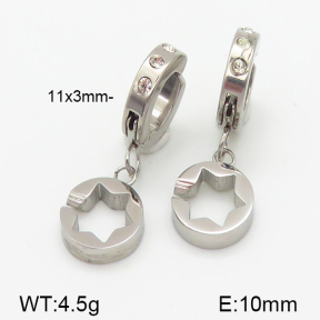 Stainless Steel Earrings  5E4000849baka-314
