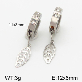 Stainless Steel Earrings  5E4000851baka-314