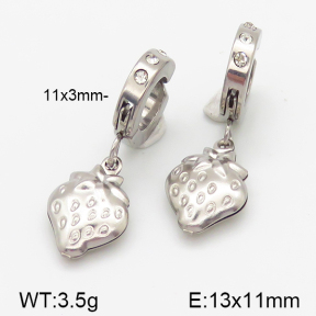 Stainless Steel Earrings  5E4000854baka-314