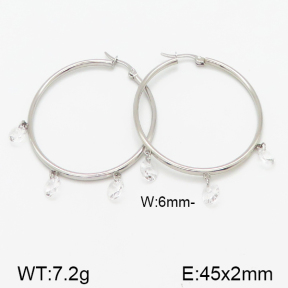 Stainless Steel Earrings  5E4000857bhva-314