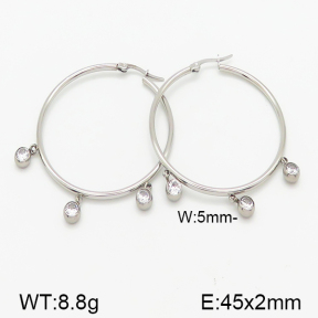 Stainless Steel Earrings  5E4000858bhva-314