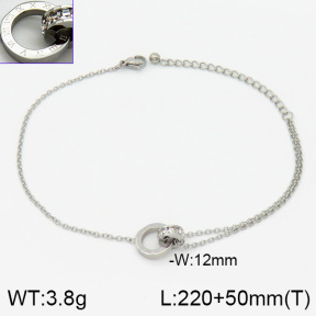 Stainless Steel Anklets  2A9000274bbov-201