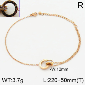 Stainless Steel Anklets  2A9000276bhva-201