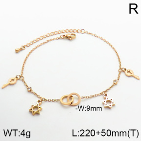 Stainless Steel Anklets  2A9000279vhha-201