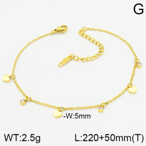 Stainless Steel Anklets  2A9000281bhva-201