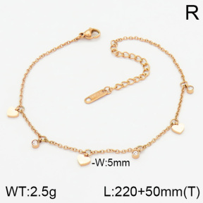 Stainless Steel Anklets  2A9000282bhva-201