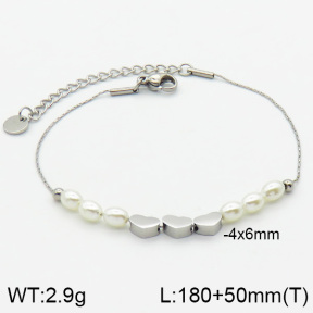 Stainless Steel Bracelet  2B3000437vbpb-201