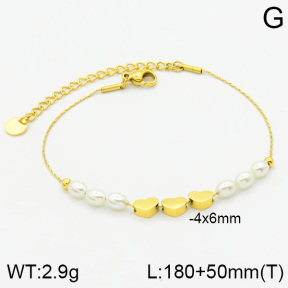 Stainless Steel Bracelet  2B3000438vhha-201