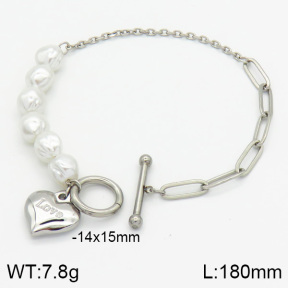 Stainless Steel Bracelet  2B3000440vbpb-201
