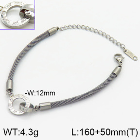 Stainless Steel Bracelet  2B8000036bbov-201