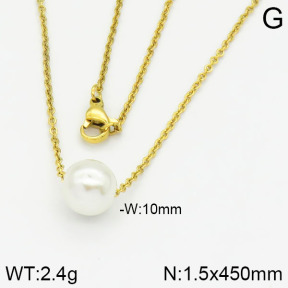 Stainless Steel Necklace  2N3000324vaia-736