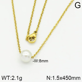 Stainless Steel Necklace  2N3000325vaia-736