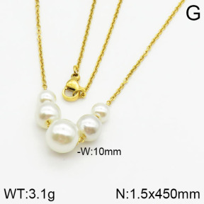 Stainless Steel Necklace  2N3000326vail-736