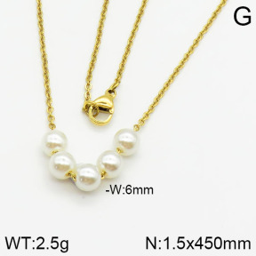 Stainless Steel Necklace  2N3000327vail-736