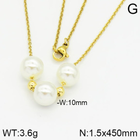 Stainless Steel Necklace  2N3000329avja-736