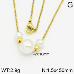 Stainless Steel Necklace  2N3000330avja-736