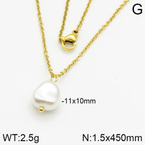 Stainless Steel Necklace  2N3000333vail-736