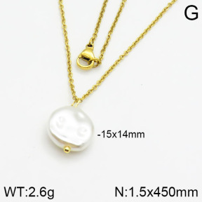 Stainless Steel Necklace  2N3000334vail-736