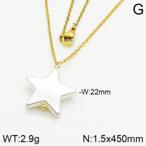 Stainless Steel Necklace  2N3000335vail-736