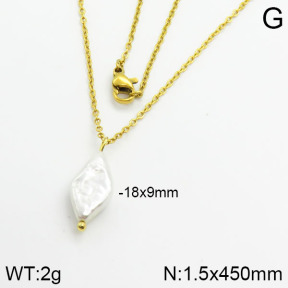 Stainless Steel Necklace  2N3000336vail-736