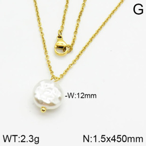 Stainless Steel Necklace  2N3000337vail-736