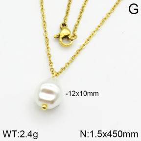 Stainless Steel Necklace  2N3000338vail-736