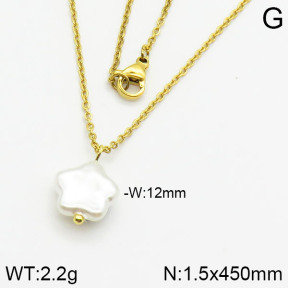 Stainless Steel Necklace  2N3000340vail-736
