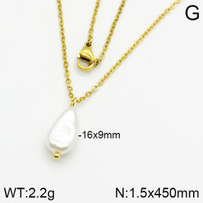 Stainless Steel Necklace  2N3000341vail-736