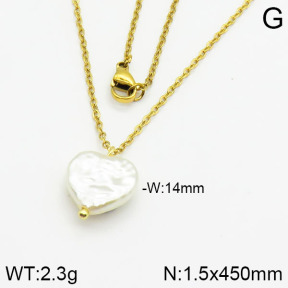 Stainless Steel Necklace  2N3000342vail-736