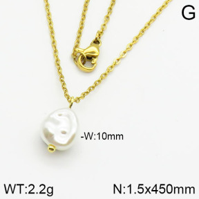 Stainless Steel Necklace  2N3000343vail-736