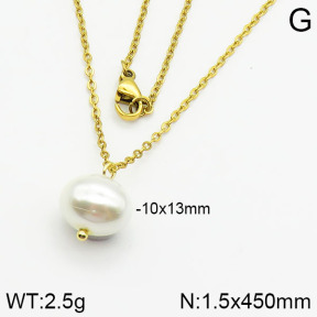 Stainless Steel Necklace  2N3000344vail-736