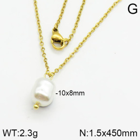 Stainless Steel Necklace  2N3000345vail-736