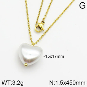 Stainless Steel Necklace  2N3000348vail-736