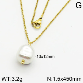 Stainless Steel Necklace  2N3000349vail-736