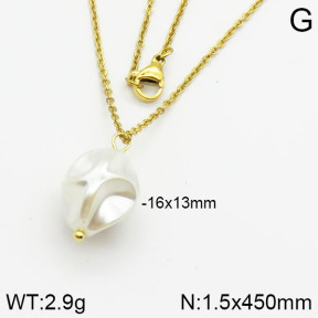 Stainless Steel Necklace  2N3000350vail-736