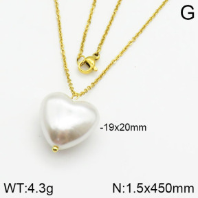Stainless Steel Necklace  2N3000351vail-736
