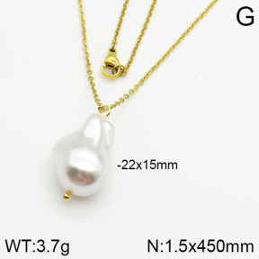 Stainless Steel Necklace  2N3000352vail-736