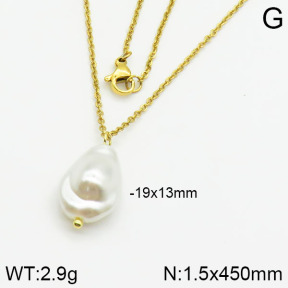 Stainless Steel Necklace  2N3000353vail-736